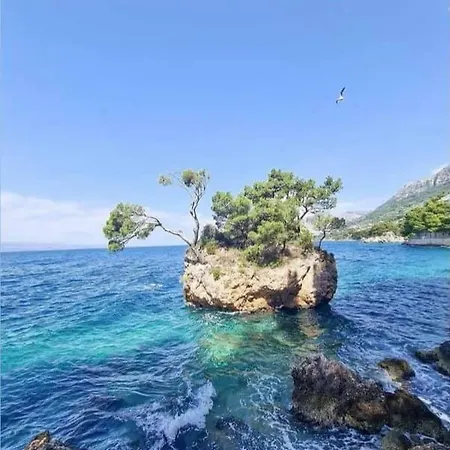 Nature Beauty Holiday home *