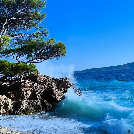 Nature Beauty Holiday home